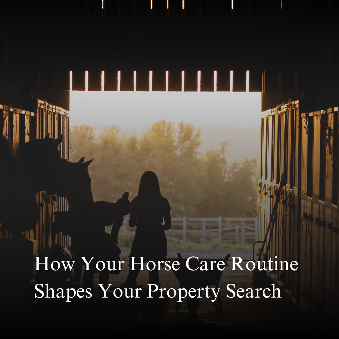 Maryland Farm Realtor Tips: How Your Horse Care Routine Shapes Your Property Search
